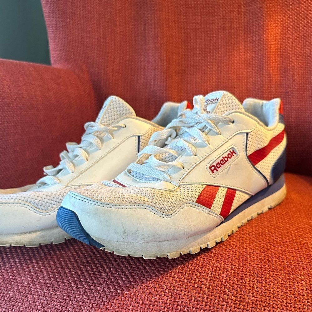 Reebok EUC Men’s Sneakers
